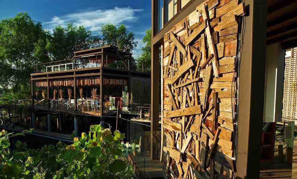 Tree house BKK