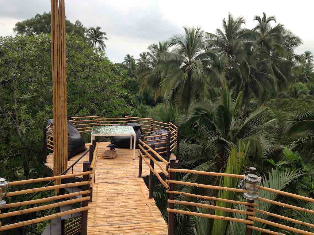 Tree house BKK