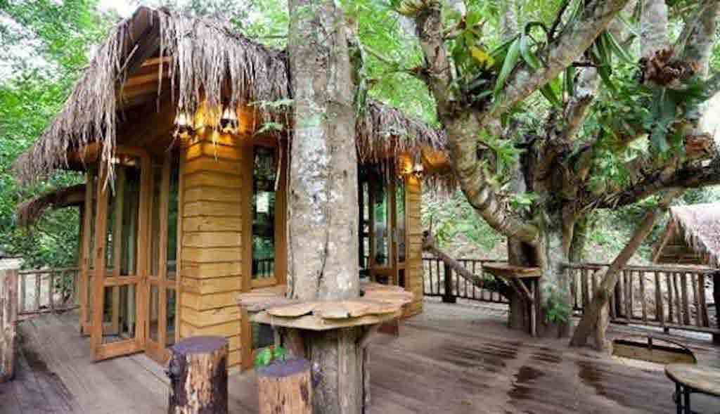 Tree house BKK