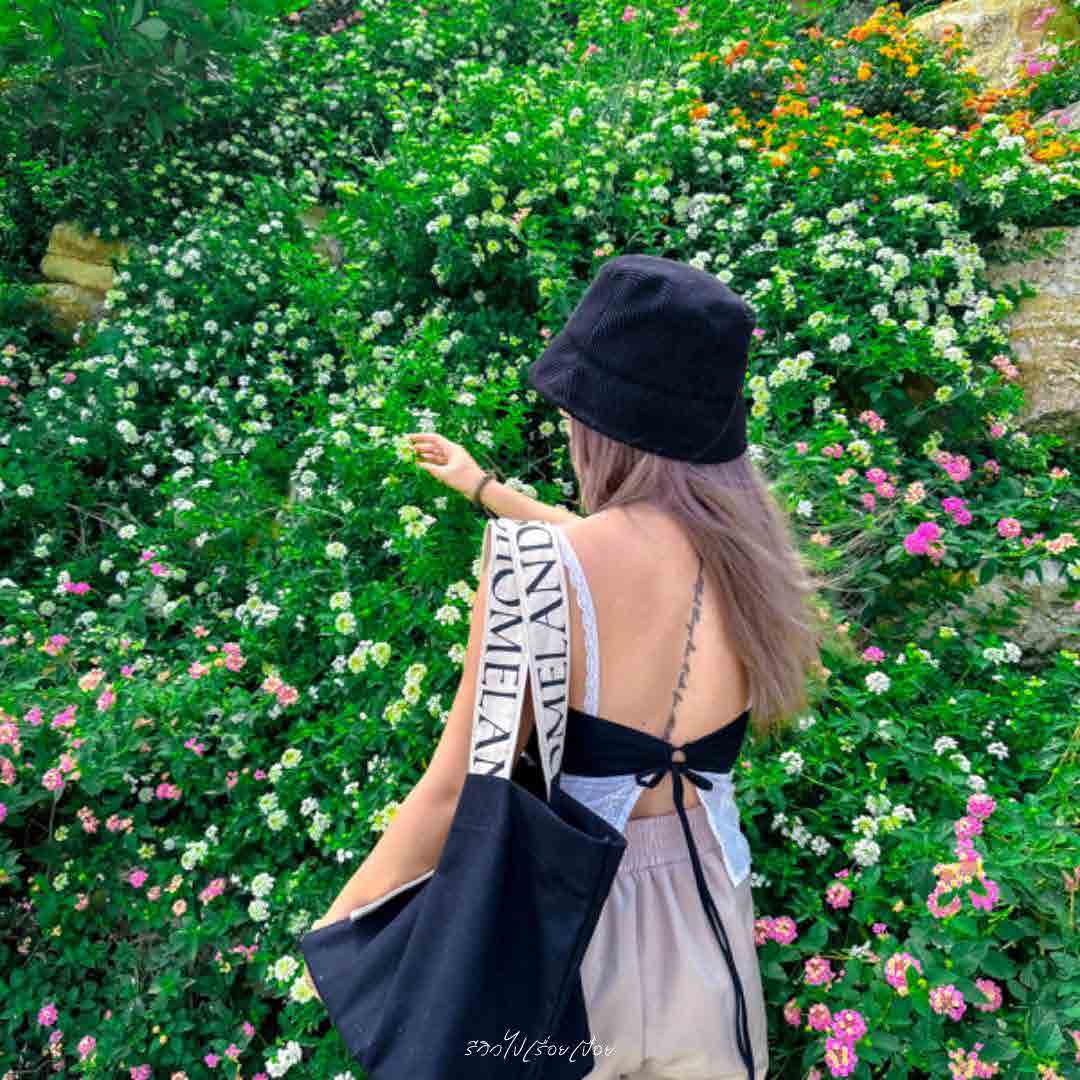 Phu Nub Dao Cafe_& Farm Saraburi
