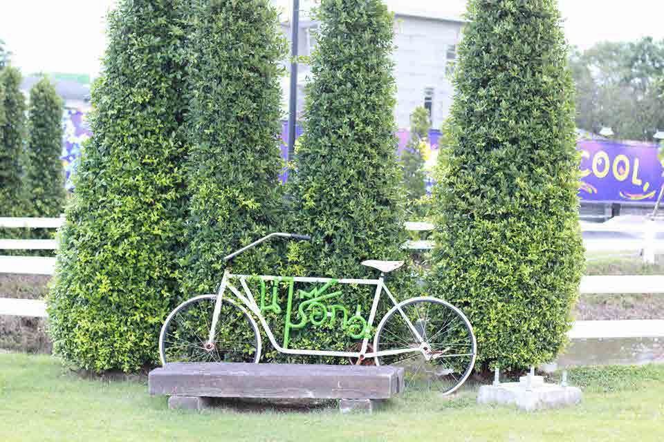 Peppermint Bike Park & Mint Cafe