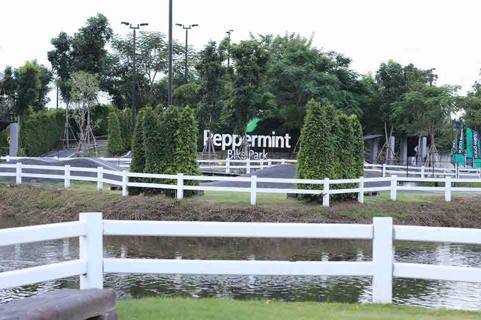 Peppermint Bike Park & Mint Cafe