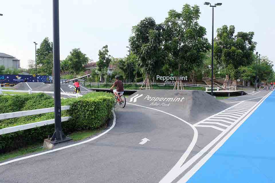 Peppermint Bike Park & Mint Cafe