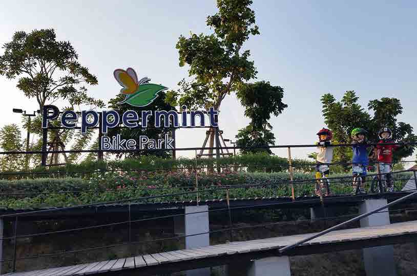 Peppermint Bike Park & Mint Cafe