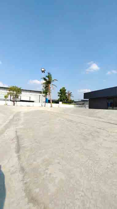 Surf Lab Surf Skate bkk