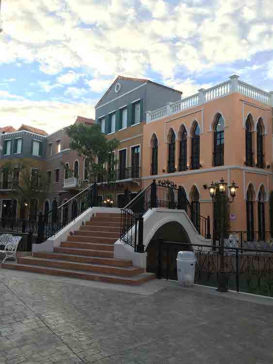 Venice Di Iris