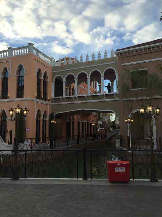 Venice Di Iris