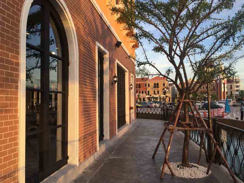 Venice Di Iris