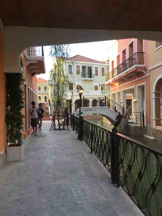 Venice Di Iris