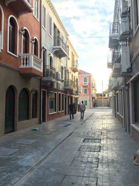 Venice Di Iris