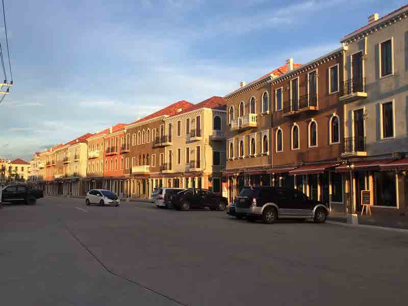 Venice Di Iris