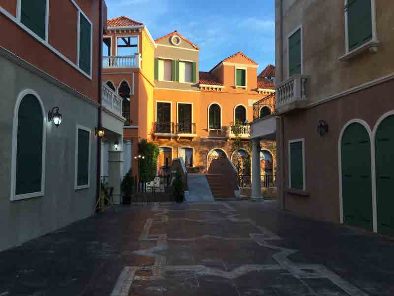 Venice Di Iris