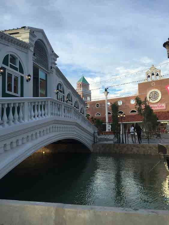 Venice Di Iris