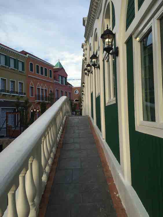 Venice Di Iris