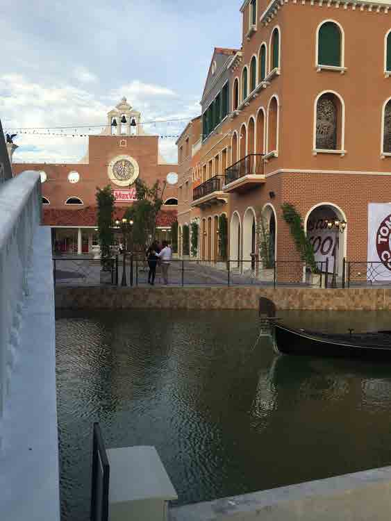 Venice Di Iris