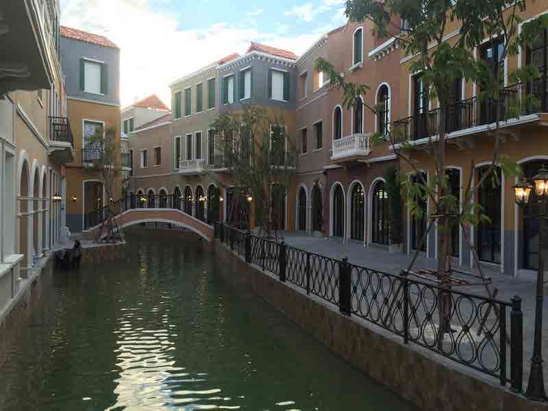 Venice Di Iris