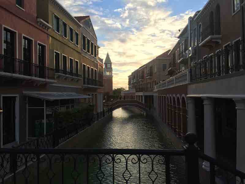 Venice Di Iris