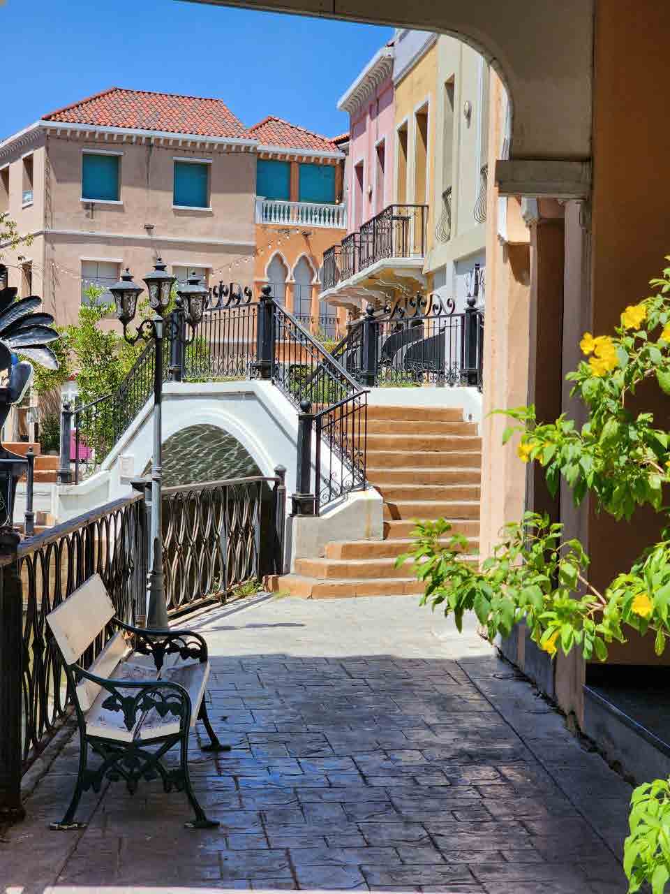 Venice Di Iris