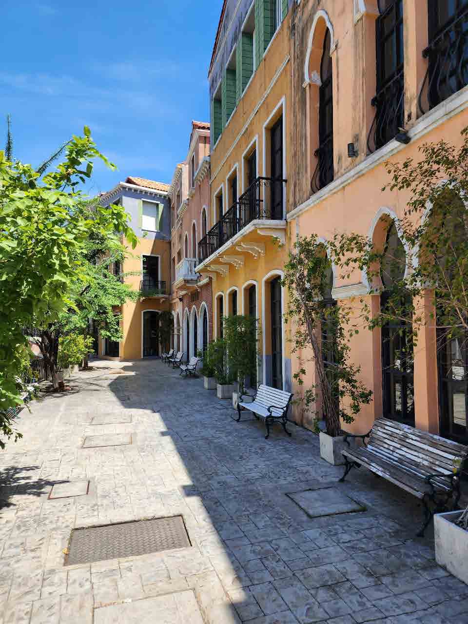 Venice Di Iris