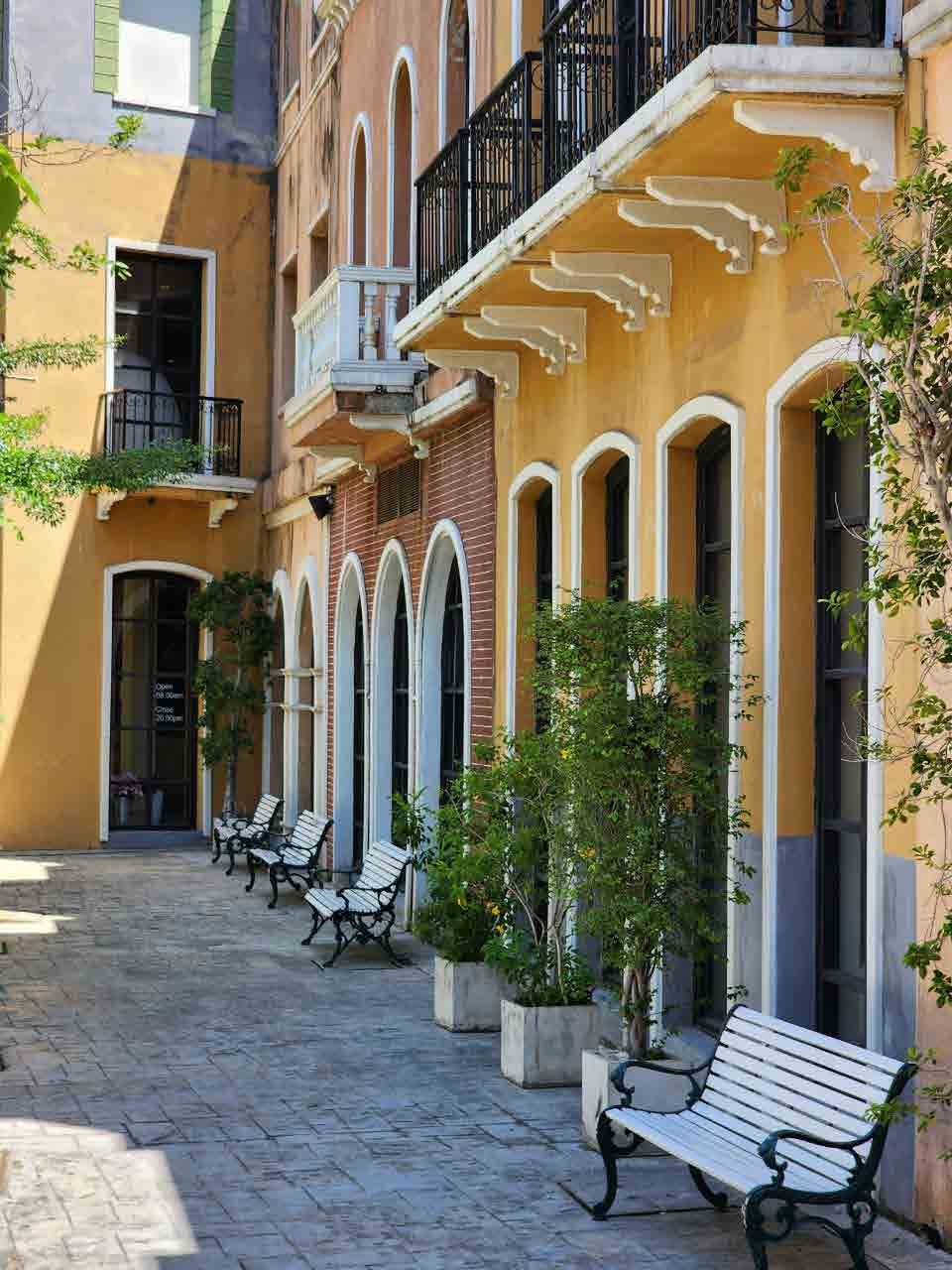 Venice Di Iris