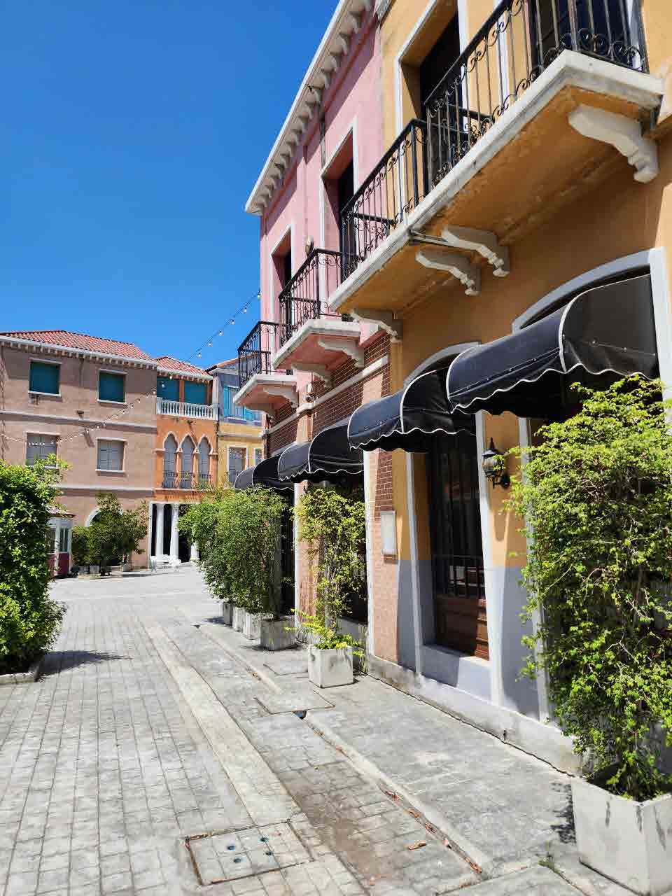 Venice Di Iris