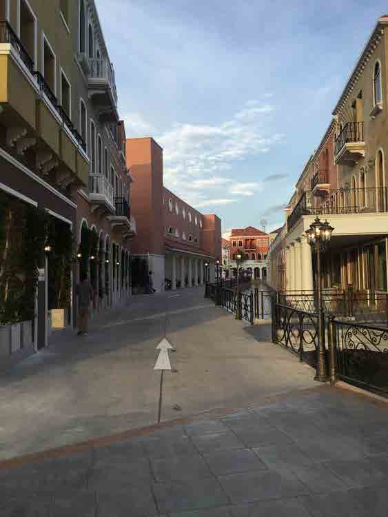 Venice Di Iris