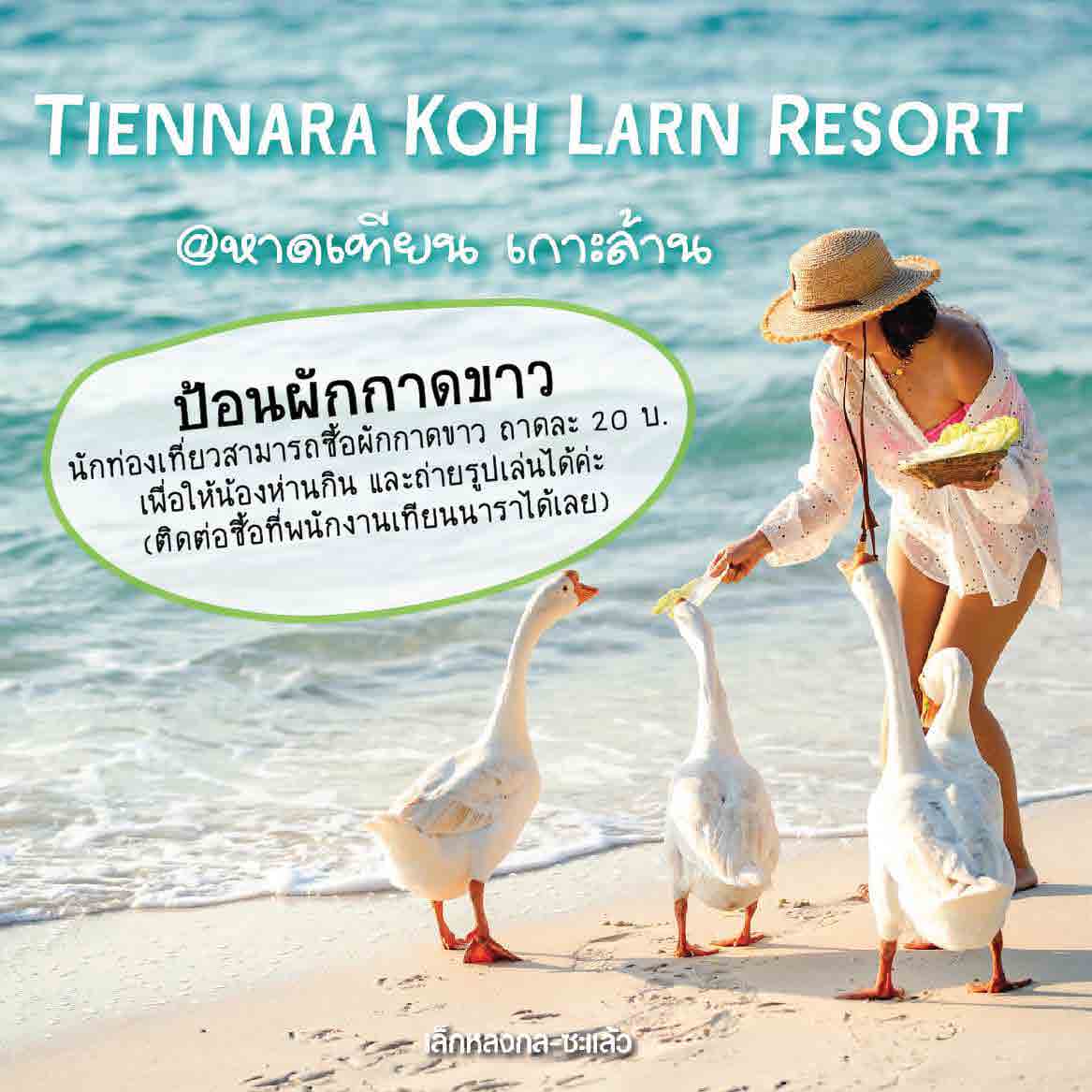 Tiennara Koh Larn