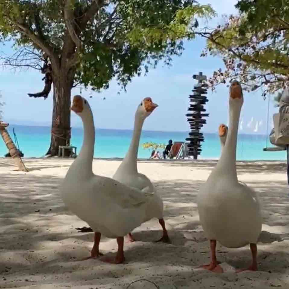 Tiennara Koh Larn