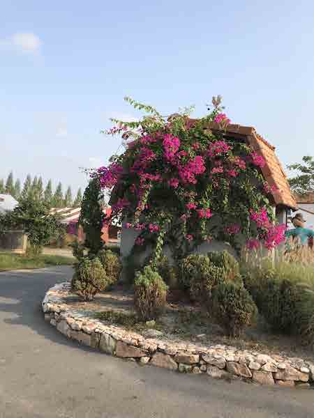 Swiss Sheep Farm Pataya