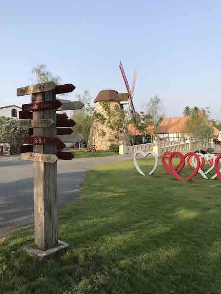 Swiss Sheep Farm Pataya
