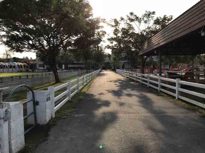 Swiss Sheep Farm Pataya