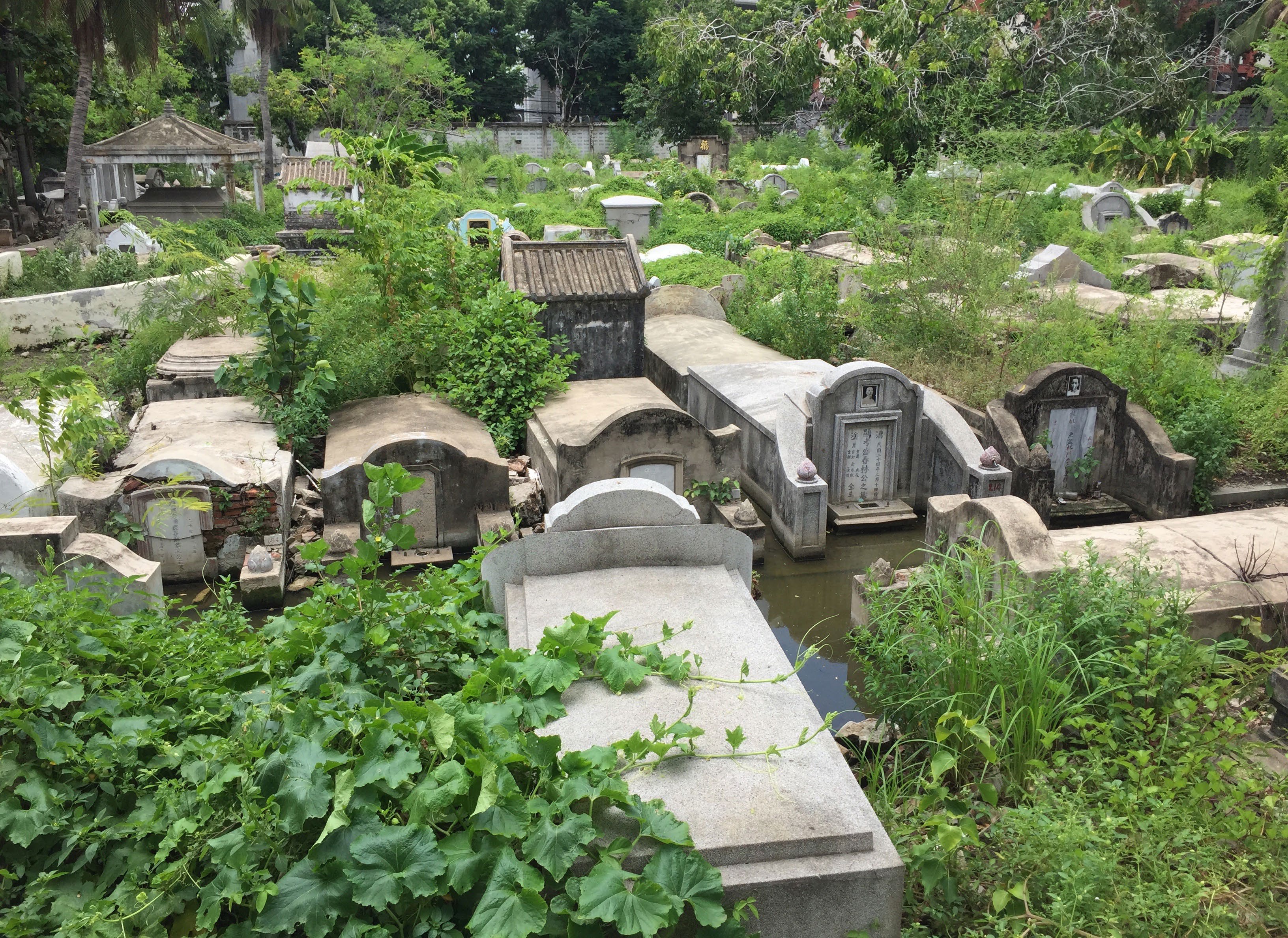 Graveyard bkk