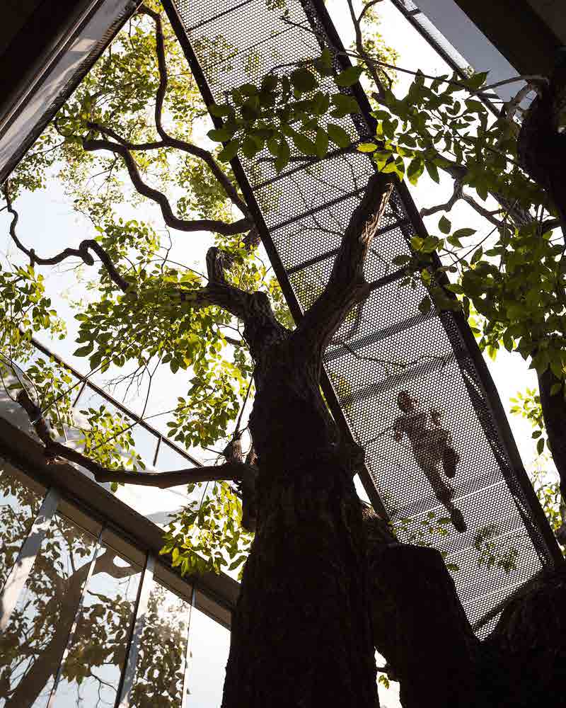 Naiipa Art Complex StuDO Architects