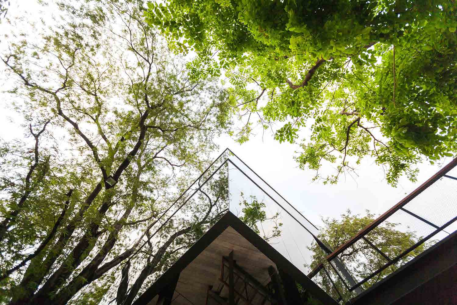 Naiipa Art Complex StuDO Architects
