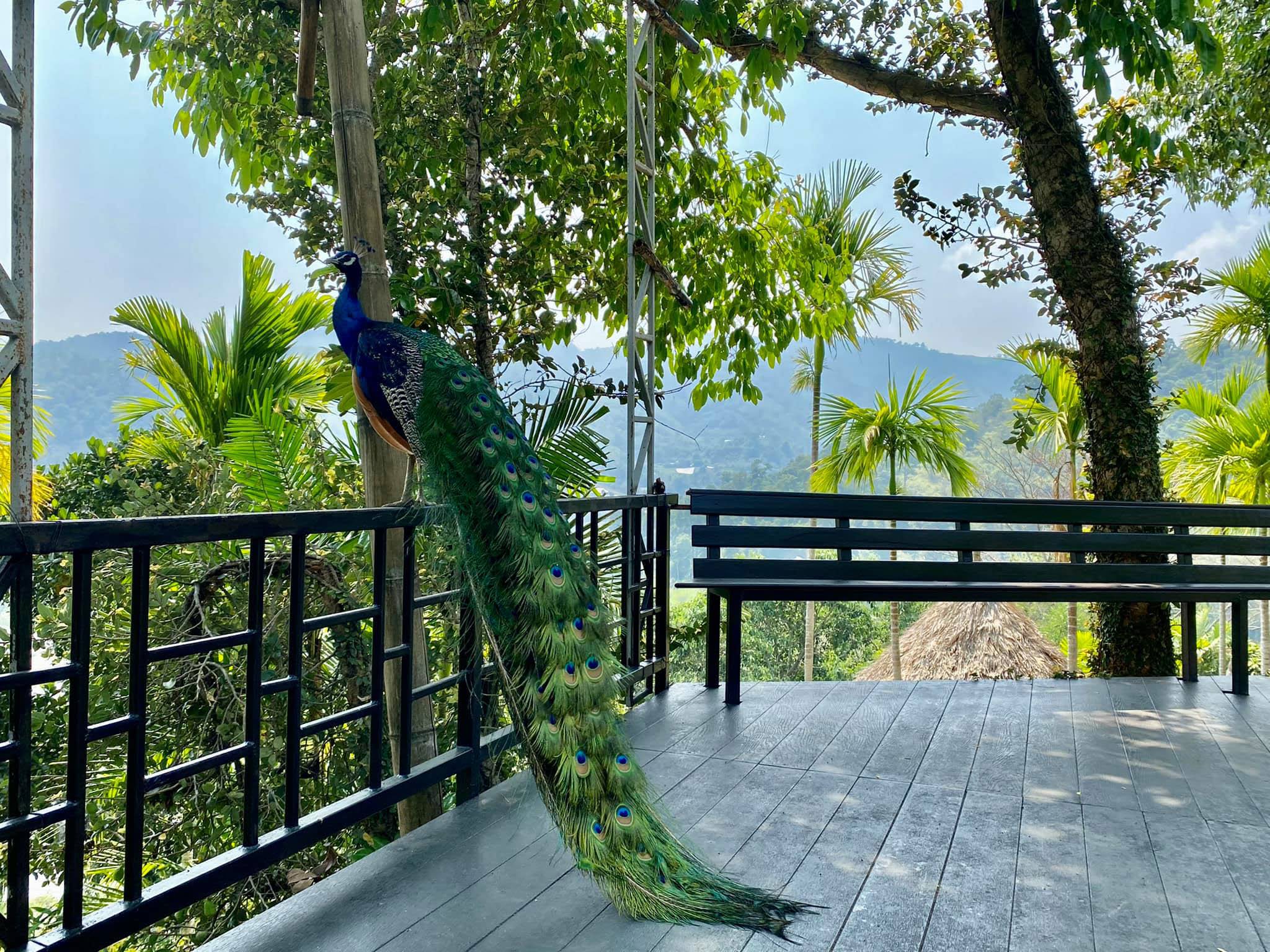 Panviman Spa & Resort