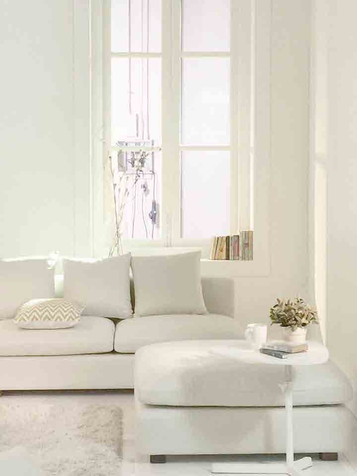 Pace Studio