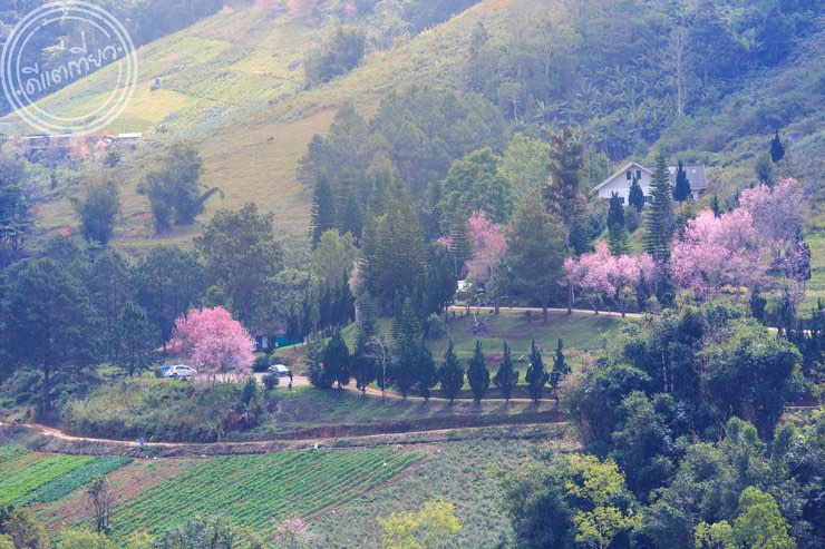 Phu lom lo