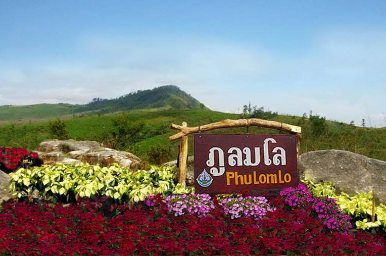 Phu lom lo