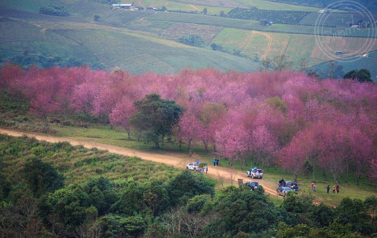 Phu lom lo