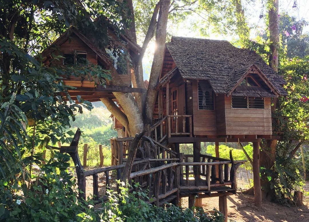 Rabeang Pasak Treehouse Resort