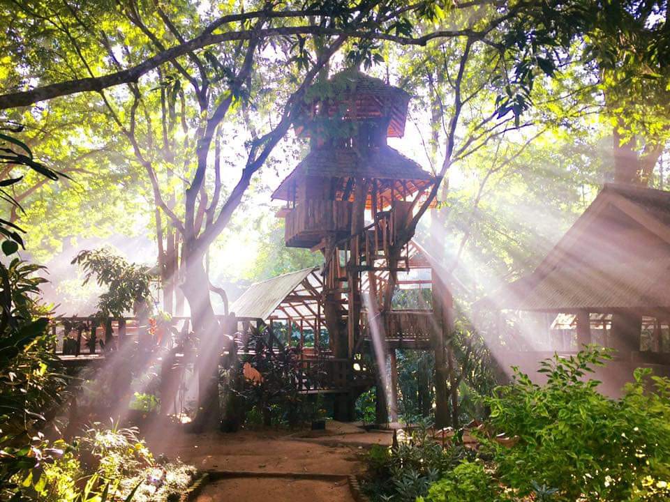Rabeang Pasak Treehouse Resort