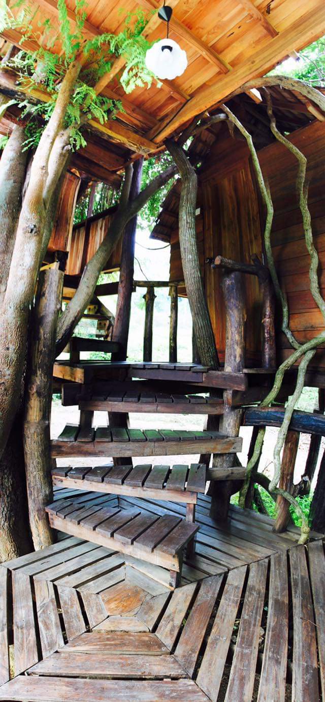 Rabeang Pasak Treehouse Resort
