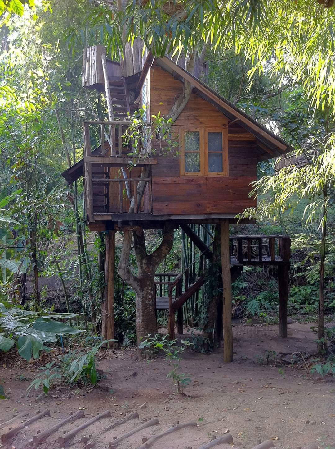 Rabeang Pasak Treehouse Resort