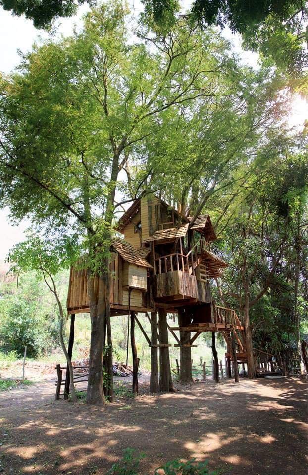 Rabeang Pasak Treehouse Resort