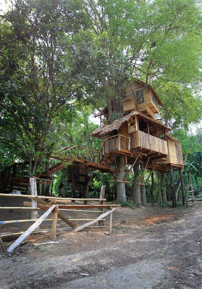 Rabeang Pasak Treehouse Resort