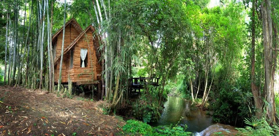Rabeang Pasak Treehouse Resort