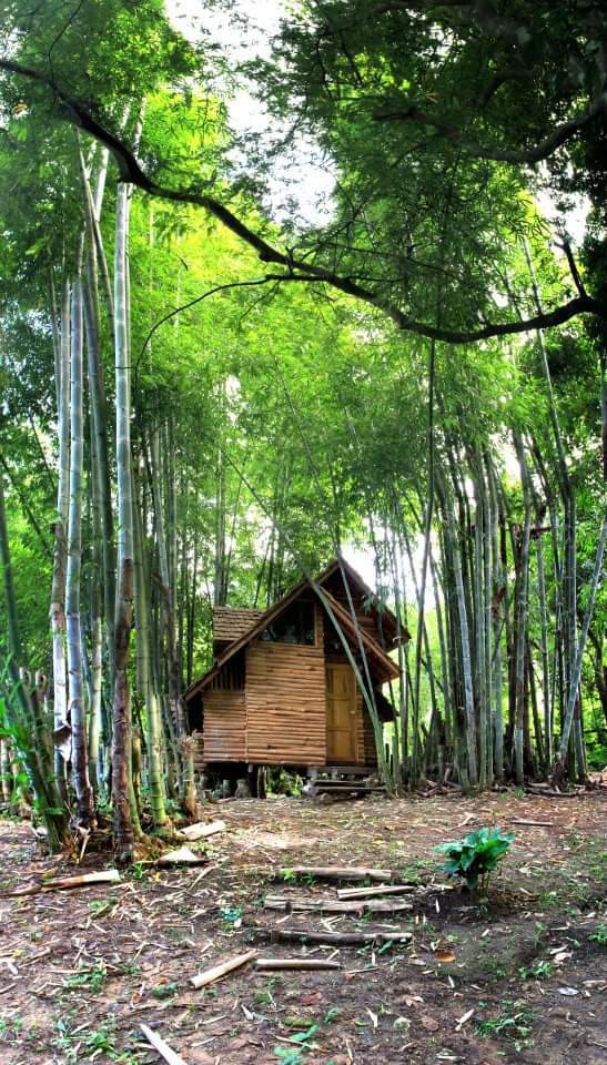Rabeang Pasak Treehouse Resort