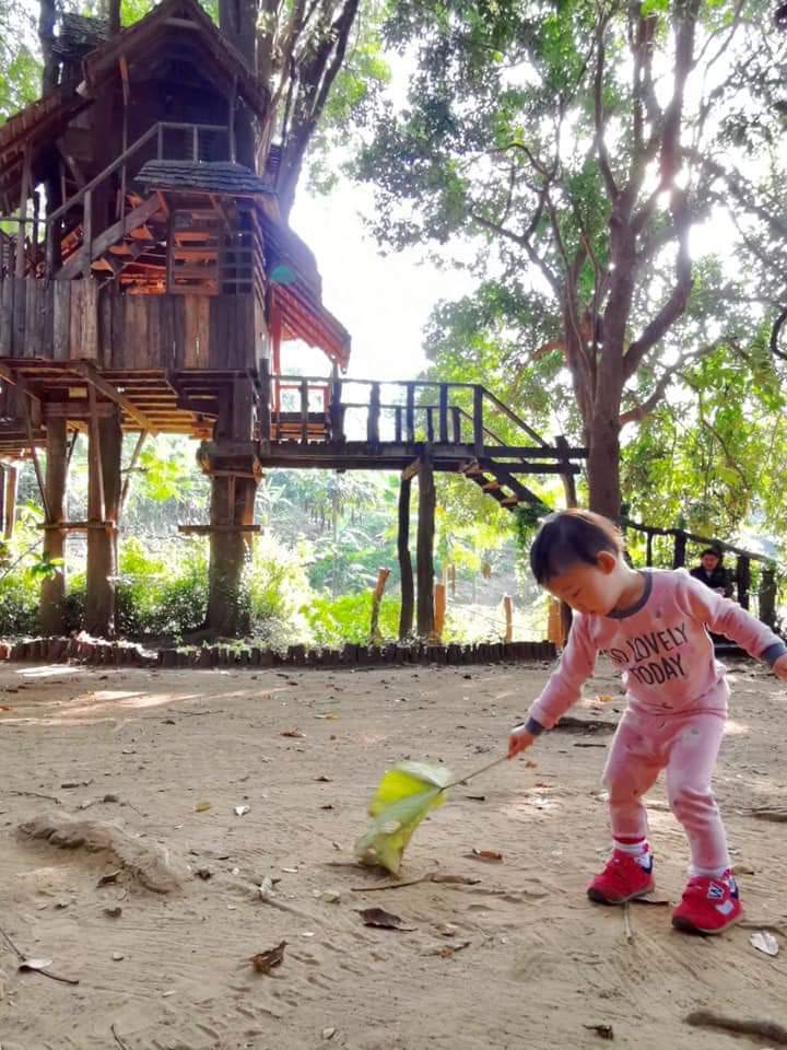 Rabeang Pasak Treehouse Resort