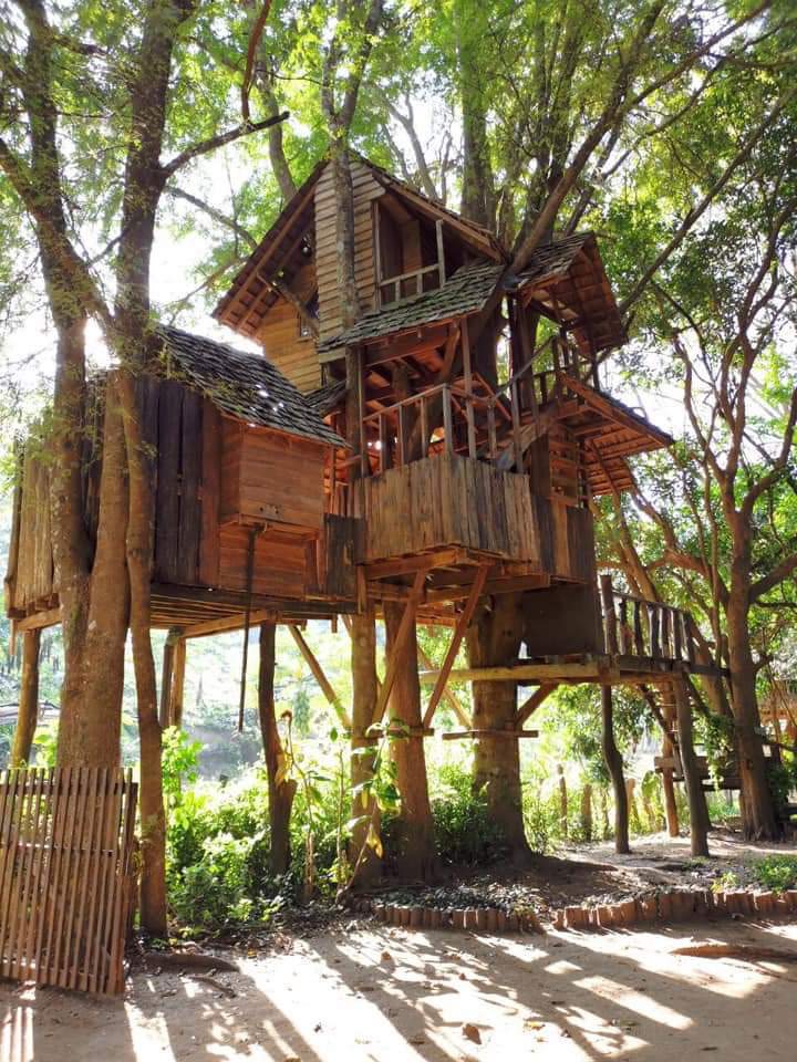Rabeang Pasak Treehouse Resort