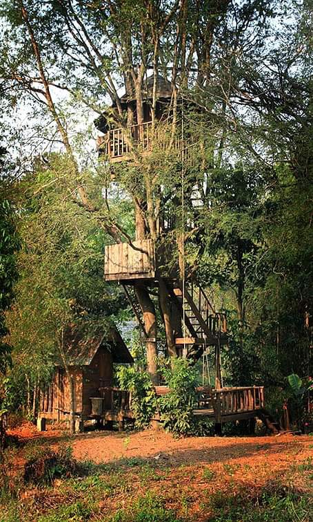 Rabeang Pasak Treehouse Resort